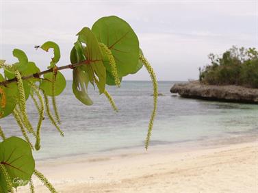 2010 Cuba, Holguin, Hotel Rio de Oro, Royal, DSC00605_b_B740